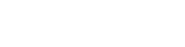 ANINSEI